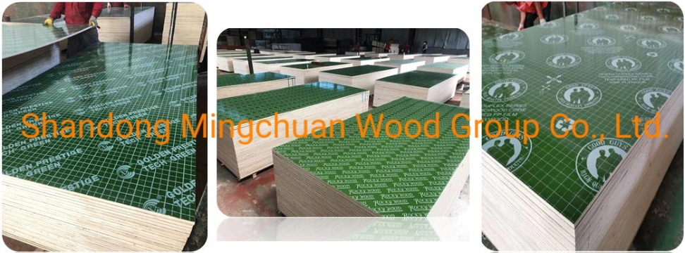 Plastic Coated Plywood PVC Plywood Combi Core 18mm Green PP Film Faced Plywood