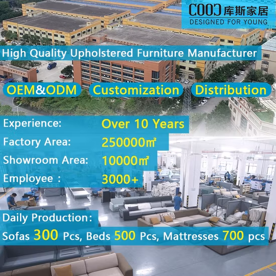 Sala de estar Quarto Varanda Lazer Conjunto Sofá direito de couro 3seat